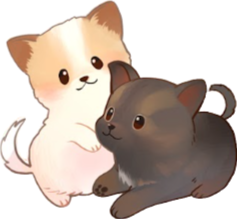 인플루언서 파트너 A